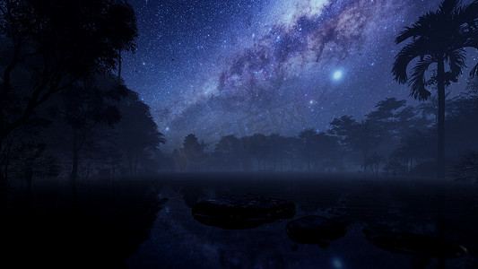 星空下被热带丛林环绕的湖上石头