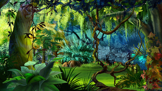 雨林插图中的植物