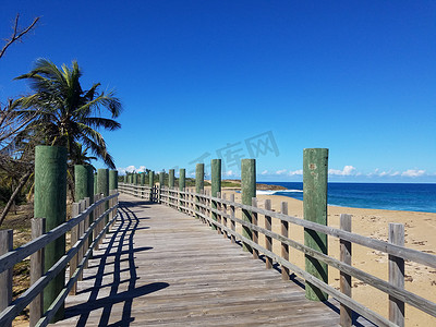 波多黎各伊莎贝拉海滩的木板路或树木小径