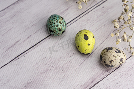 浅色背景中的复活节彩蛋和满天星分支