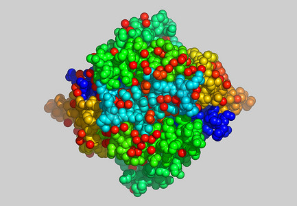 分子摄影照片_带原子的蛋白质分子模型