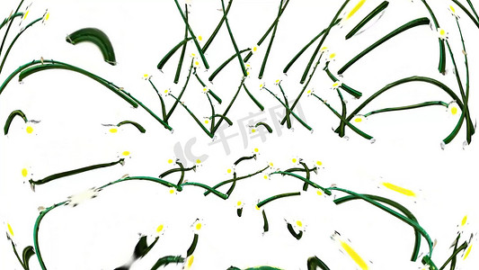 白花植物 3d 渲染