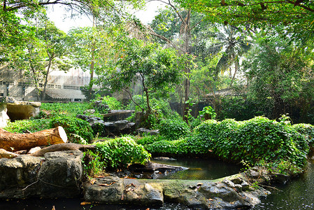 曼谷考丁公园杜斯特动物园带池塘的动物笼