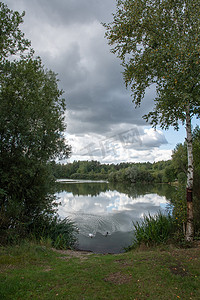 鸭子游泳摄影照片_湖上有云的夏日风景被树木环绕，鸭子游泳