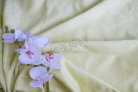 金色纺织品窗帘上的白色兰花