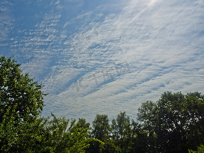 长条花穗摄影照片_长条状的天空，罕见的云层。