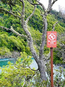 彩色禁飞区标志的图像 — 禁止无人机飞行 — 在自然和树木之间的国家公园中标志
