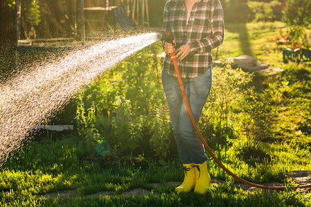 在阳光明媚温暖的夏日，穿着工作服的女园丁在她的菜园里浇花。