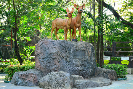 泰国曼谷考丁公园杜斯特动物园的鹿雕像