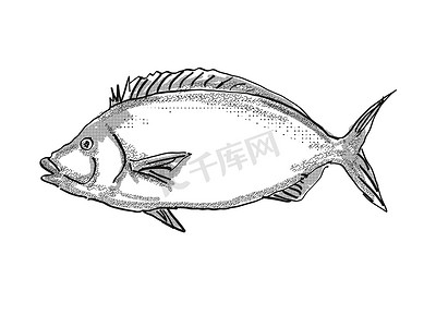 Porae 新西兰鱼卡通复古绘图