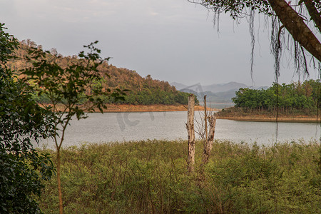 湖岸下午风景画象有干燥树和山脉的在背景中。