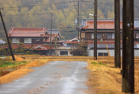 冬日乡村摄影照片_冬日雨天通往乡村传统日式房屋的道路