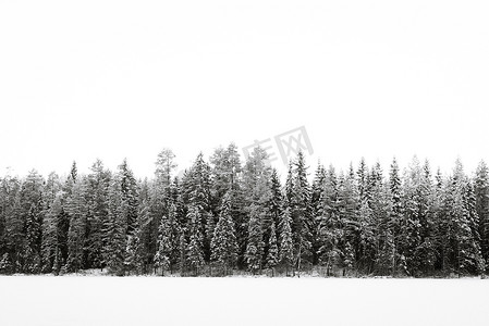 大雪蓝色摄影照片_冰湖上的森林覆盖着大雪和天空我