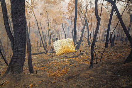 澳大利亚蓝山严重丛林大火烧毁的水箱和桉树