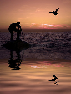 摄影师和海鸥