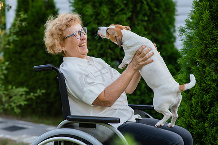 散步摄影照片_坐在轮椅上户外散步的白人老妇抱着一只杰克罗素梗犬。