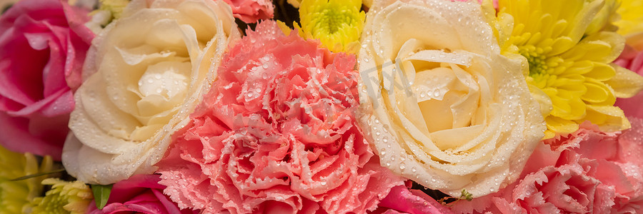 鲜花妈妈摄影照片_带有一束鲜艳鲜花的网站的美丽夏日横幅。