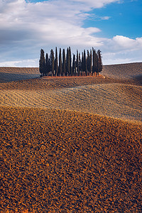 Cipressi Di San Quirico DOrcia 在黄金时段，在意大利托斯卡纳的意大利山丘上，拥有美丽温暖的光线和云彩。