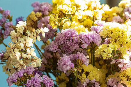 一个透明的花瓶，灰色背景上插着新鲜采摘的五颜六色的野花。