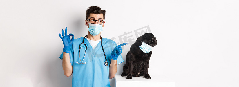 宠物医院背景摄影照片_戴着医用面具的滑稽黑哈巴狗，坐在英俊的兽医旁边，手上显示出好的手势，白色背景