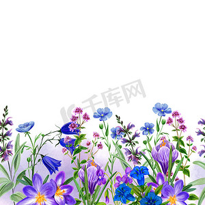 水彩花卉框架摄影照片_水彩无缝边界、野花和草药