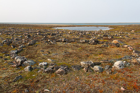 阿尔维亚特以北哈德逊湾沿岸的因纽特人帐篷环遗迹位于一个名为 Qikiqtarjuq 的地方