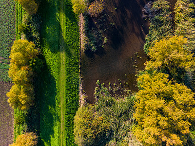 从无人机的角度看，秋色树上的水体，田野旁有一条小路