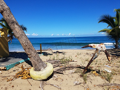 波多黎各伊莎贝拉海滩上的树和生锈的锚周围的轮胎