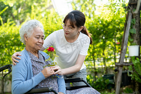 在阳光明媚的花园里，亚洲老年或年长的老妇人手捧红玫瑰花，微笑而快乐。
