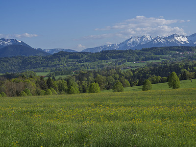 巴伐利亚阿尔卑斯山美丽的春天乡村山景，背景是村庄和白雪覆盖的山峰地块。