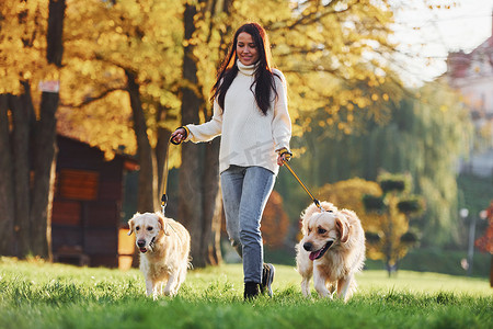 白天，布鲁内特带着两只金毛猎犬在公园里散步