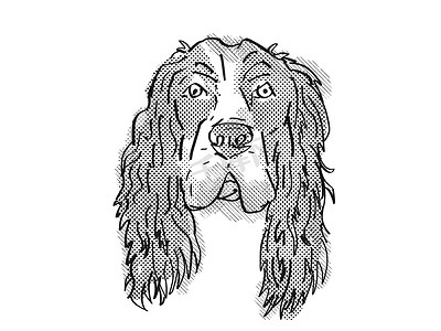 英国可卡犬品种卡通复古绘图