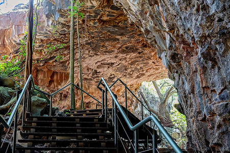 Undara Lava Tubes 微妙的生态系统在澳大利亚巡回演出