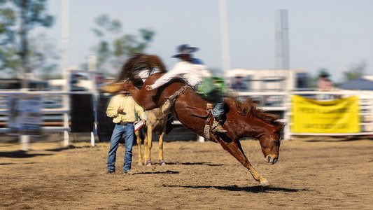 马奔腾摄影照片_牛仔骑着一匹奔腾的野马