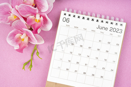 2023 年 6 月的日历桌和粉色背景的粉色兰花。