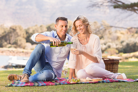 一对微笑的夫妇坐在野餐毯上，往玻璃杯里倒酒