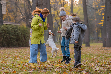 白人儿童和红发女人在秋季公园与狗杰克罗素梗玩耍。