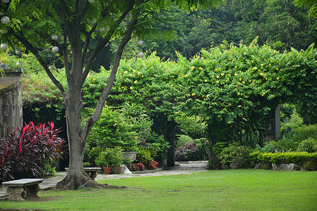 巡回演出摄影照片_Baluarte De San Diego Gardens 位于马尼拉 Intramuros Walled City