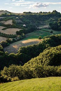马尔凯摄影照片_意大利马尔凯地区 Belvedere Fogliense 附近的田野和树木景观