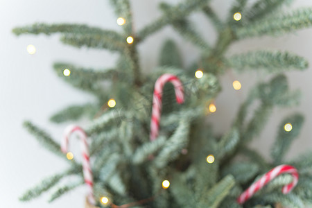 用拐杖糖和模糊背景上的灯装饰的圣诞树。