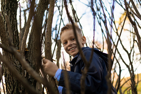 一个穿蓝色夹克的淘气男孩爬上树枝间的树