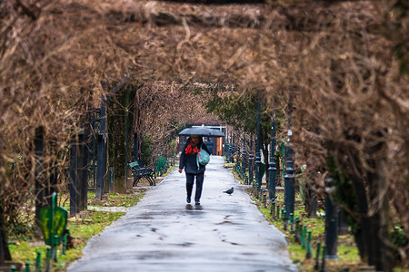 2021年罗马尼亚布加勒斯特雨天街上带雨伞的人