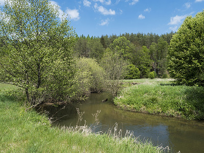 林摄影照片_蜿蜒的河流田园诗般的风景蜿蜒在郁郁葱葱的绿色草地上，落叶林，蓝天背景。