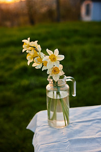 站在街边桌子上的水仙花花束的美学照片