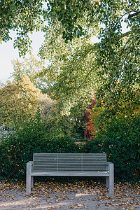 有石墙的白色公园长椅和常春藤的绿色叶子在安静的环境中。