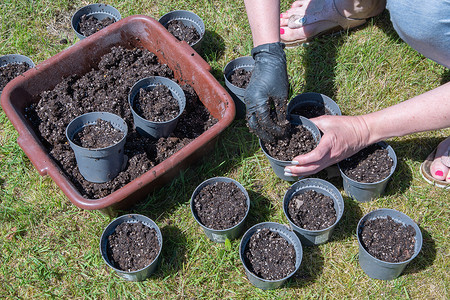 戴着黑色手套的女性手在花园里用泥土填满花盆