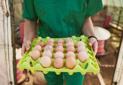 品质检查摄影照片_农场、医疗保健和兽医妇女用鸡蛋对动物养殖产品、鸡蛋或农产品进行健康检查。