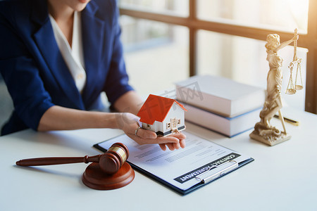 法律、咨询、协议、合同、概念代理人或律师正在法庭上接受客户对家庭和土地事务的投诉。