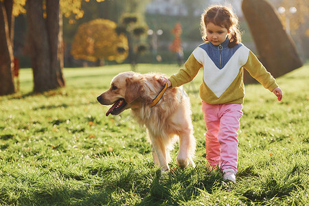 散步摄影照片_小女孩白天在公园里和金毛狗散步