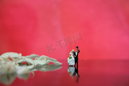 微型摄影 — 花园花卉户外婚礼概念，新娘和新郎走在亮闪闪的地板上，铺着白玫瑰花瓣